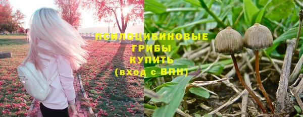 спиды Галич