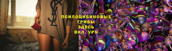 спиды Галич