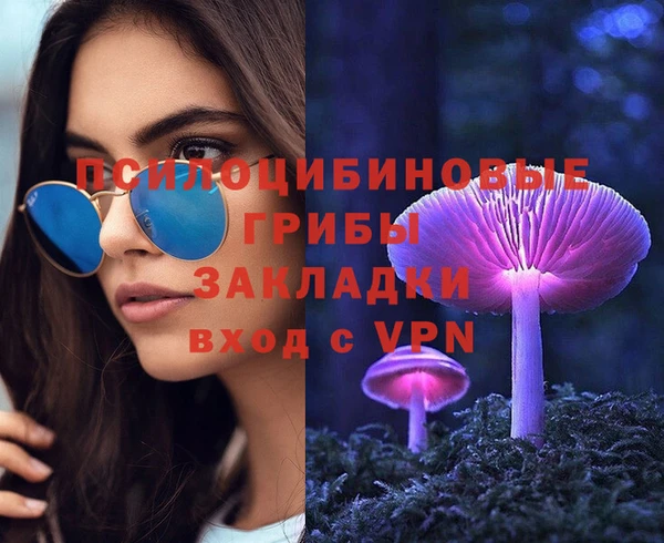 соль ск Рославль