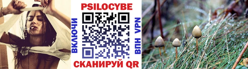 Купить где  Заводоуковск  Галлюциногенные грибы Magic Shrooms 